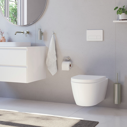 Držiaky toaletného papiera Strieborný SMEDBO