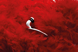 Rozetové kľučky na interiérové dvere Strieborný LINEA CALI