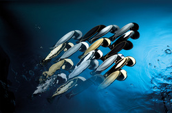 Rozetové kľučky na interiérové dvere Zlatý LINEA CALI