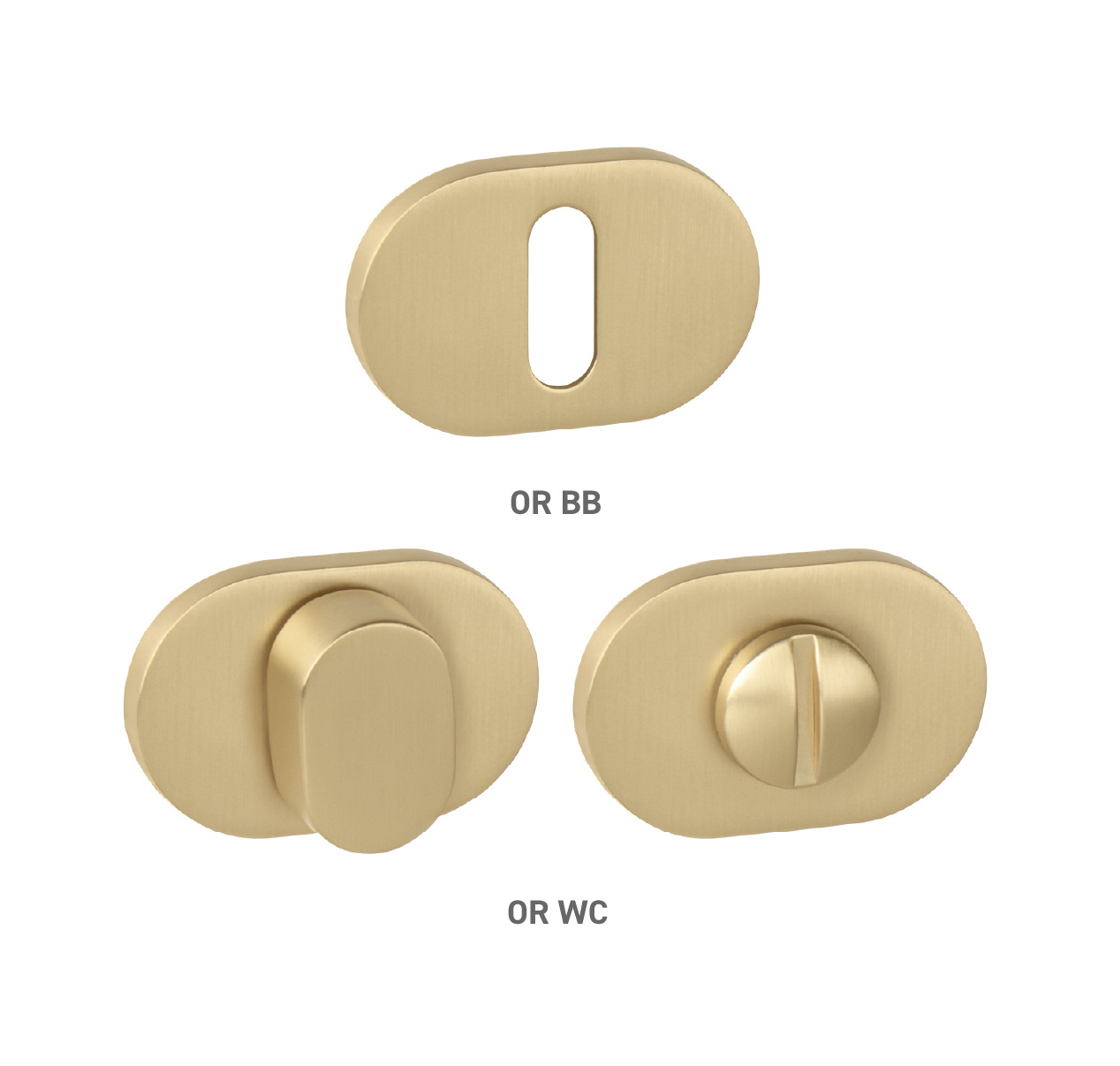 Rozeta ku kľučke MPK - ROZETA IMPRESSA - OR ZLM - zlatá matná (SATIN BRASS) | MP-KOVANIA.sk