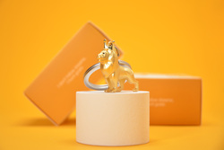 KĽÚČENKY Zlatý MTM