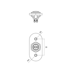 Domové zvončeky Strieborný JNF