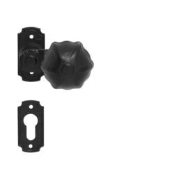 Kľučky na bránu na rustikálnych rozetách Čierny LR