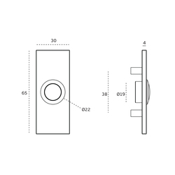 Domové zvončeky Strieborný JNF