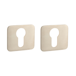 Hranaté rozety Strieborný Griffwerk