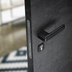 Kľučky na obdĺžnikových rozetách Čierny JNF