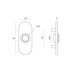 Domové zvončeky Strieborný JNF