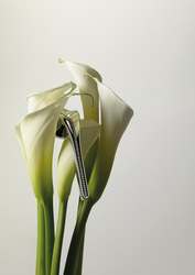 Kľučky na okrúhlych rozetách Zlatý LINEA CALI