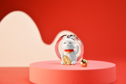 KĽÚČENKY Biely MTM