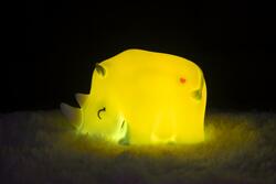 Nočné lampy Zelený DHK