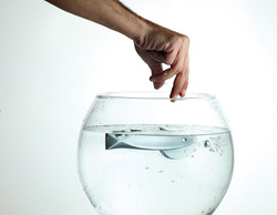 Kľučky na okrúhlych rozetách Zlatý LINEA CALI