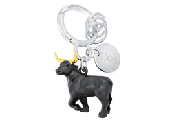 KĽÚČENKY Čierny MTM