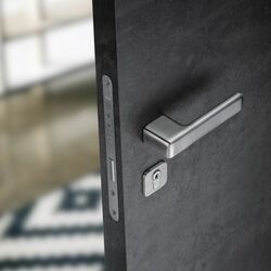 Kľučky na obdĺžnikových rozetách Strieborný JNF