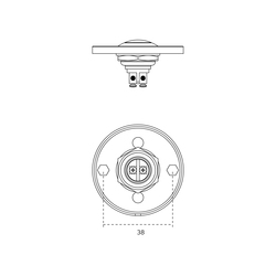 Domové zvončeky Strieborný JNF